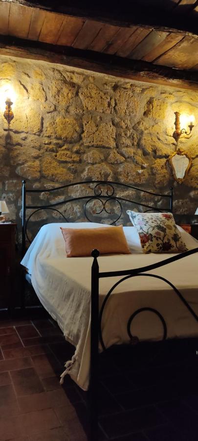 La Chascona Di Farnese Casa Di Tufo Nel Borgo Apartment ภายนอก รูปภาพ