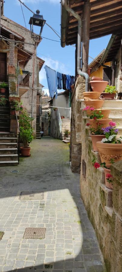 La Chascona Di Farnese Casa Di Tufo Nel Borgo Apartment ภายนอก รูปภาพ