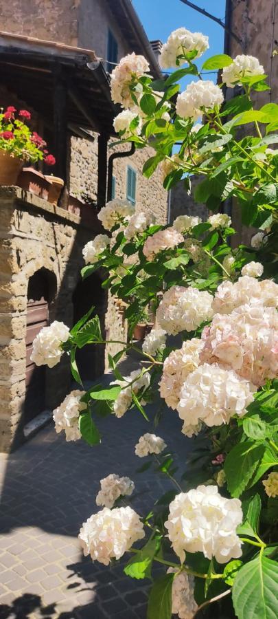 La Chascona Di Farnese Casa Di Tufo Nel Borgo Apartment ภายนอก รูปภาพ