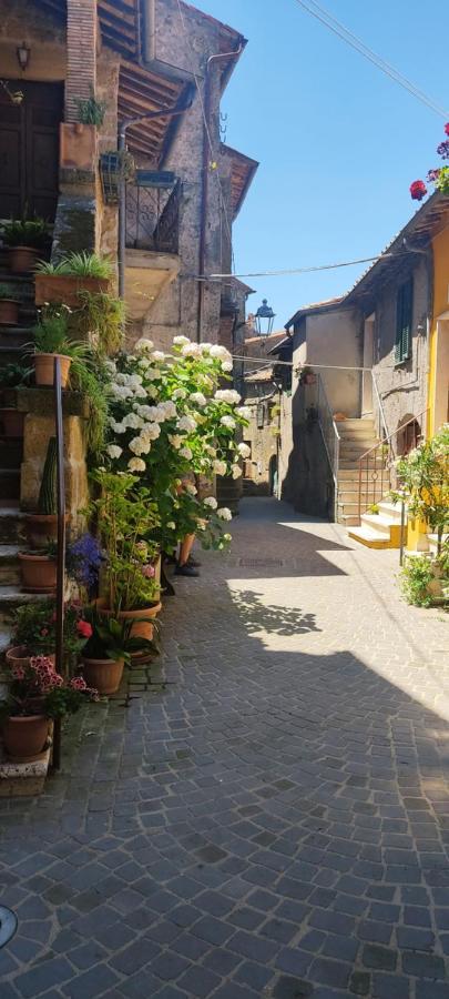 La Chascona Di Farnese Casa Di Tufo Nel Borgo Apartment ภายนอก รูปภาพ